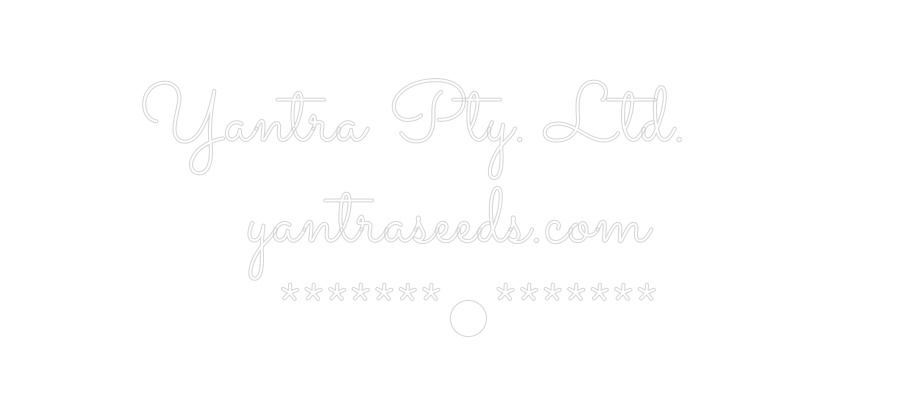 Custom Neon Text - Yantra Pty....