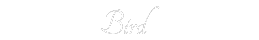 Custom Neon Text - Bird