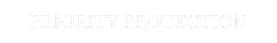 Custom Neon Text - PRIORITY PROT...