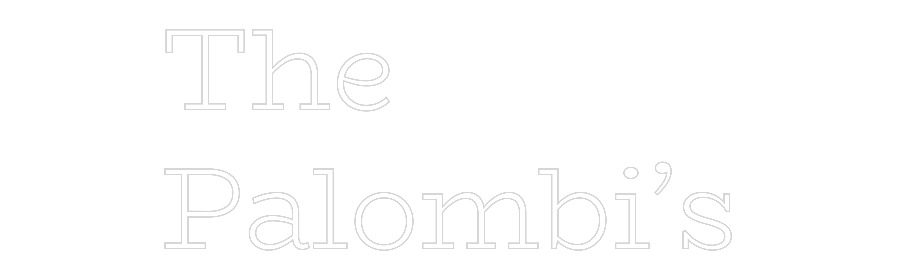 Custom Neon Text - The
Palombi’s