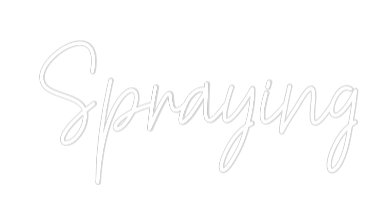 Custom Neon Text - Spraying
