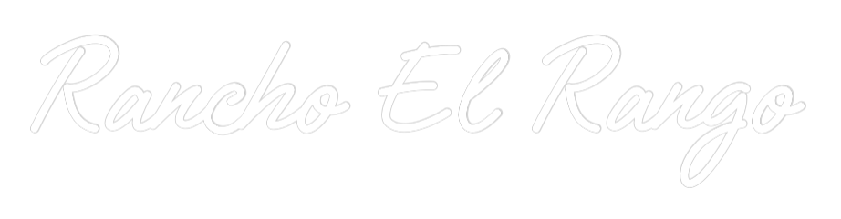 Custom Neon Text - Rancho El Rango