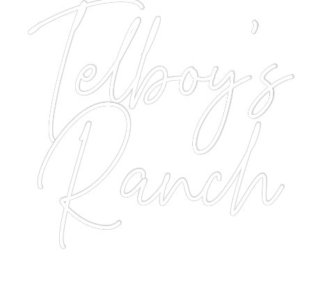 Custom Neon Text - Telboy’s
Ranch