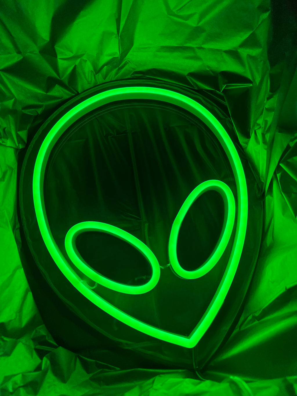 Alien Mini Neon Sign | Fun Signs for Your Space