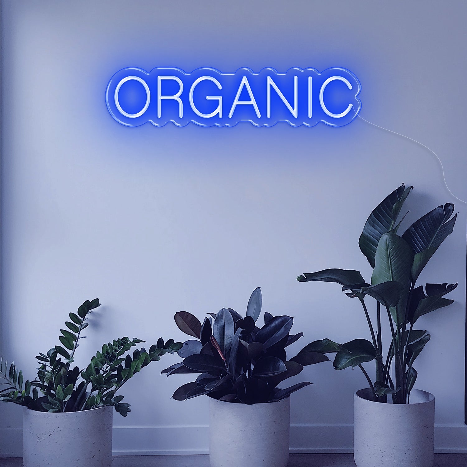 Organic LED Neon Sign