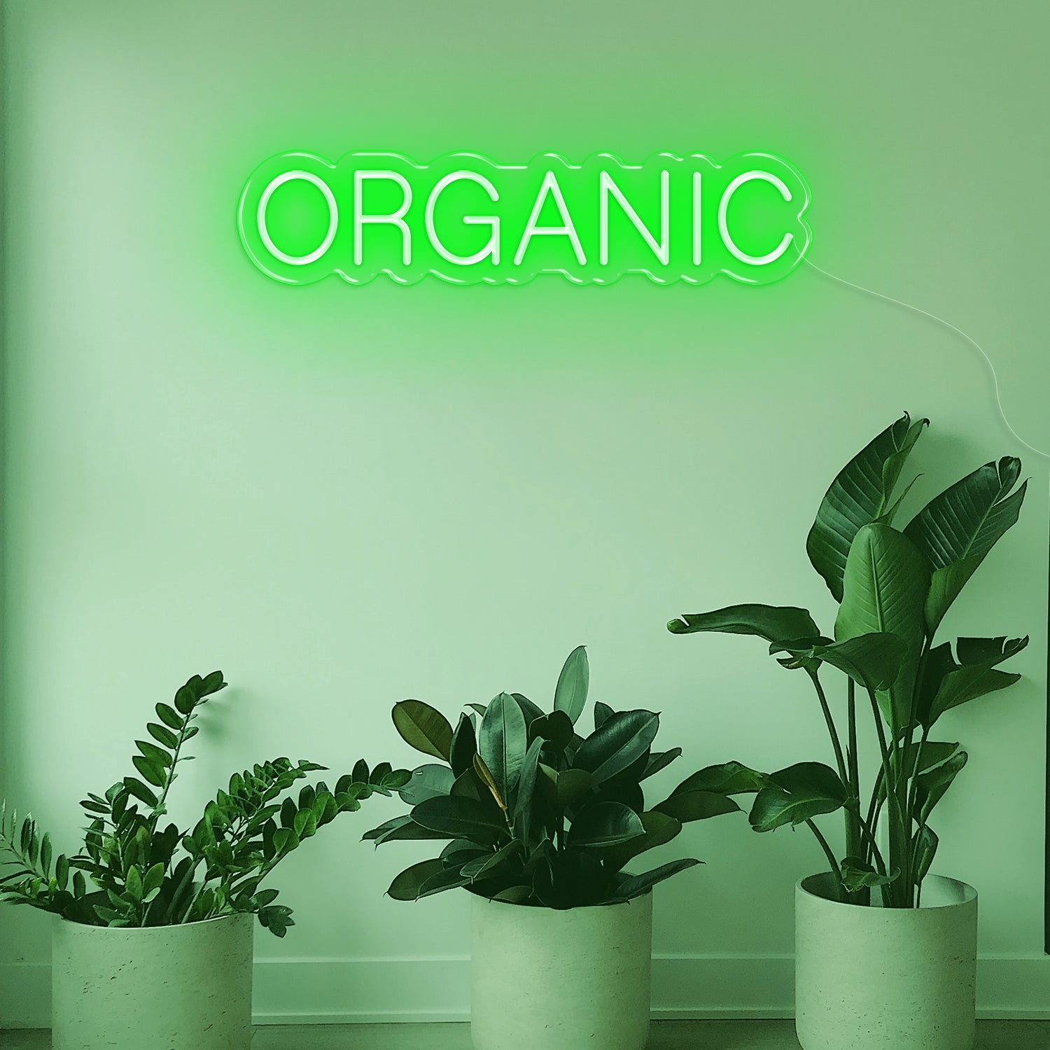 Organic LED Neon Sign