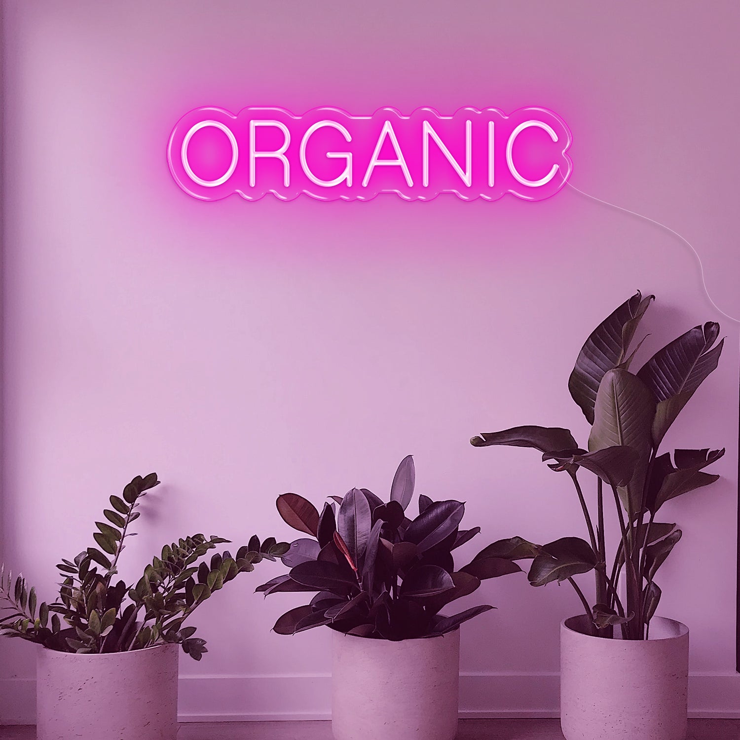 Organic LED Neon Sign