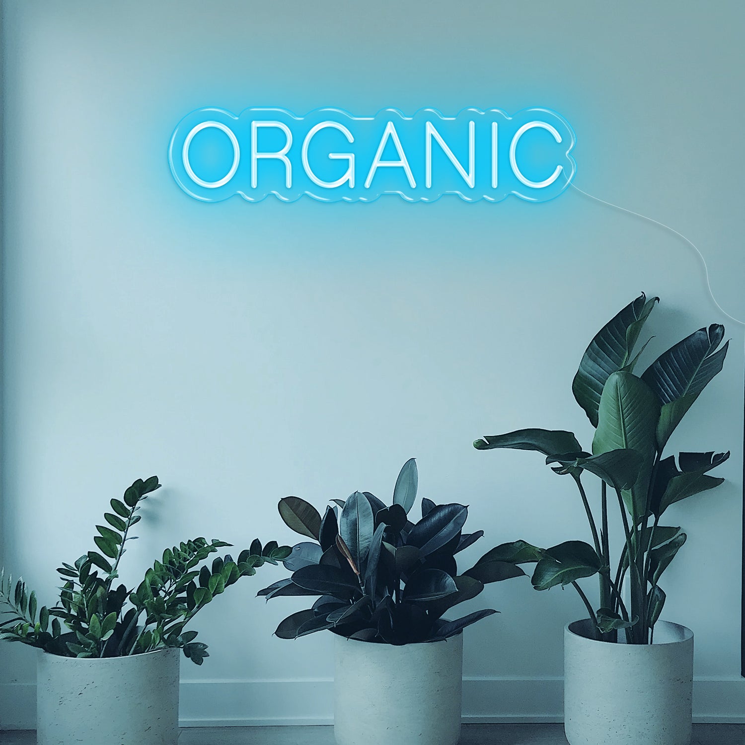 Organic LED Neon Sign