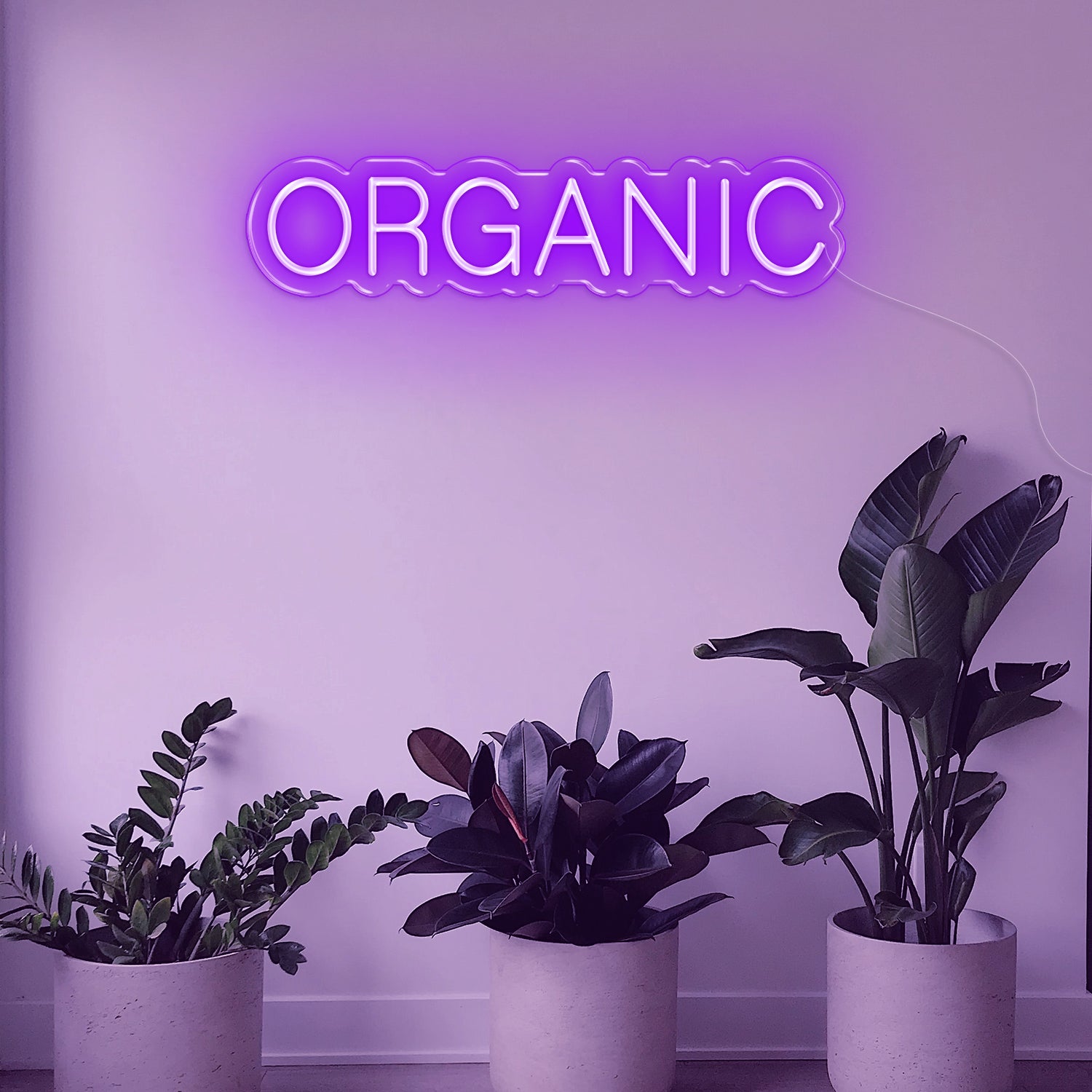 Organic LED Neon Sign