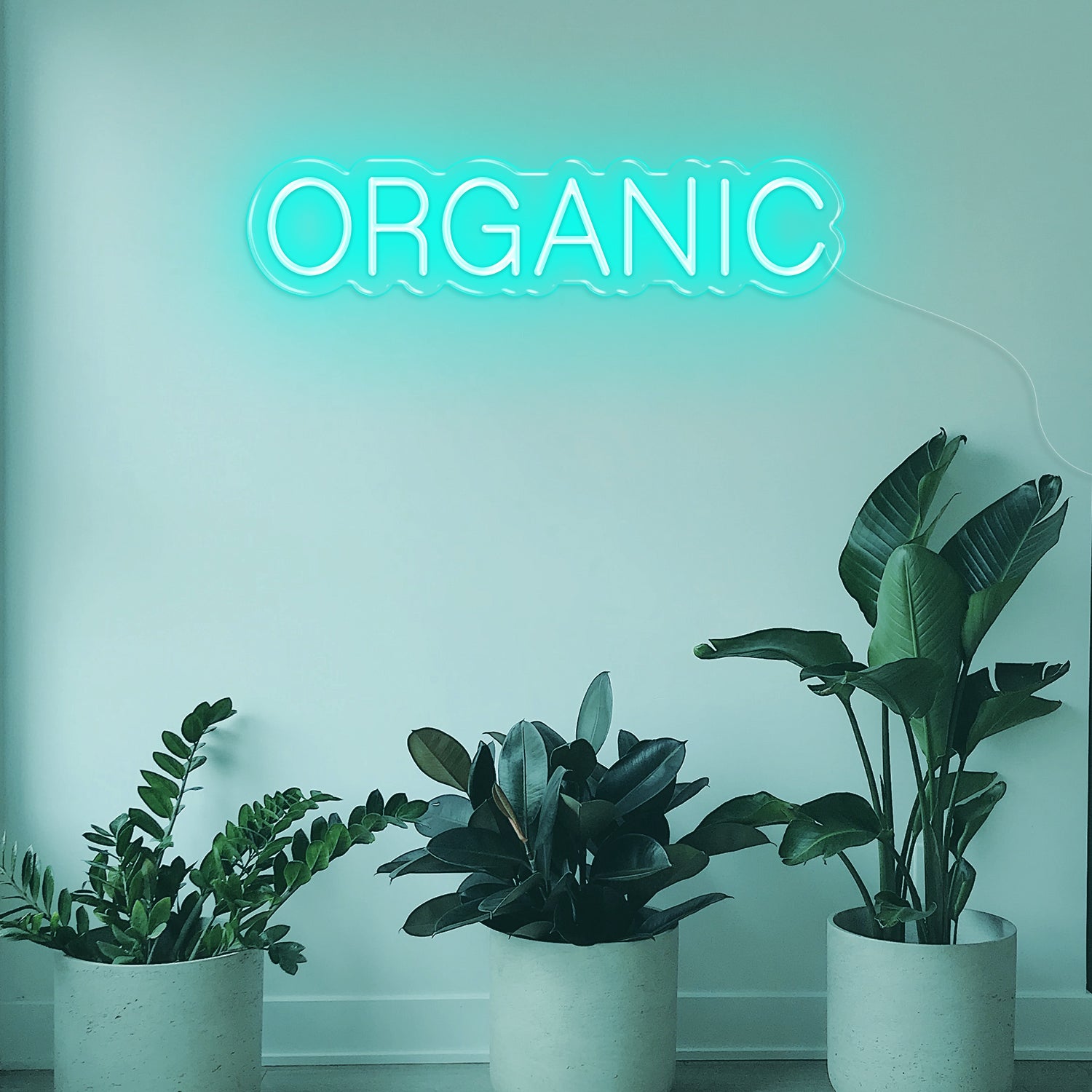 Organic LED Neon Sign
