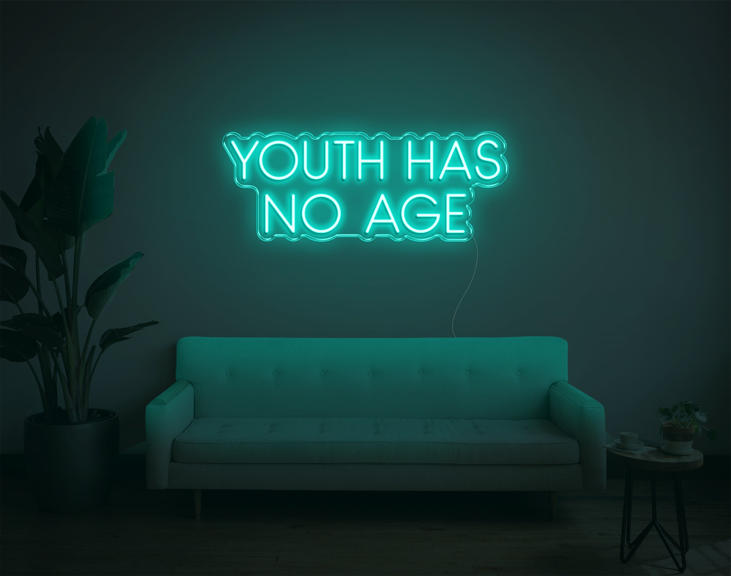 Youth Has No Age LED Neon Sign