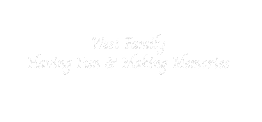 Custom Neon Text- West Family 
...