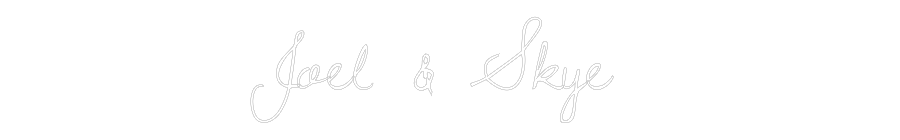 Custom Neon Text- Joel & Skye