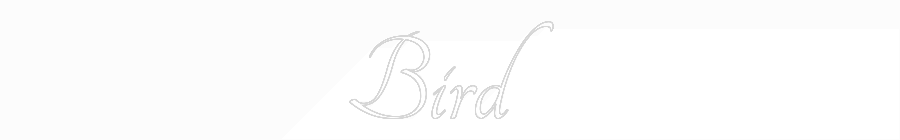 Custom Neon Text - Bird