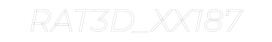 Custom Neon Text- RAT3D_XX187