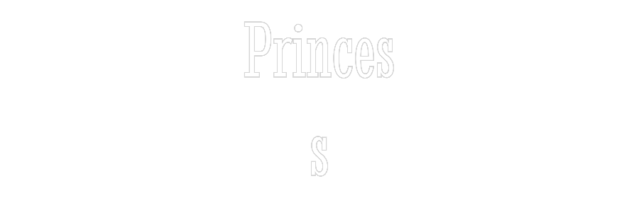 Custom Neon Text - Princes
s