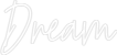 Custom Neon Text - Dream