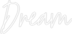 Custom Neon Text - Dream