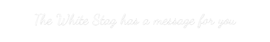 Custom Neon Text - The White Sta...