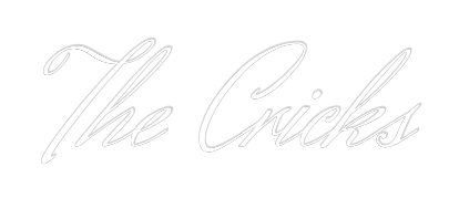 Custom Neon Text - The Cricks