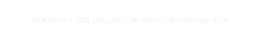 Custom Neon Text - SEND EMAIL FO...