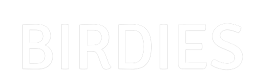 Custom Neon Text - BIRDIES