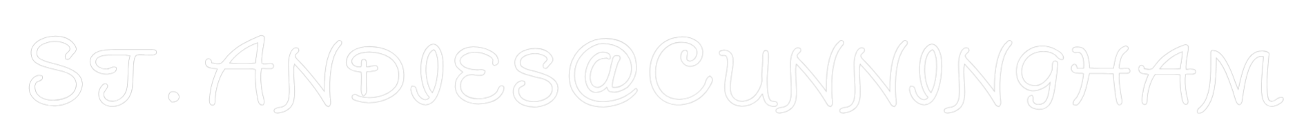 Custom Neon Text - St. Andies@Cu...