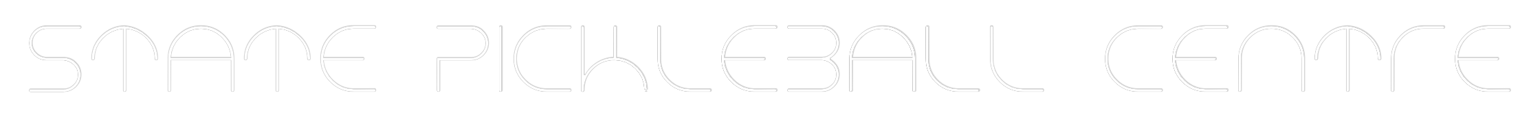 Custom Neon Text - STATE PICKLEB...