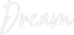 Custom Neon Text - Dream