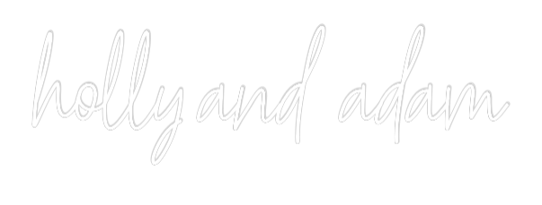 Custom Neon Text - holly and adam