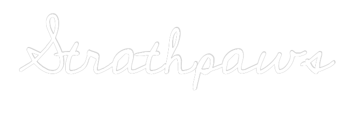 Custom Neon Text - Strathpaws