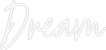 Custom Neon Text - Dream