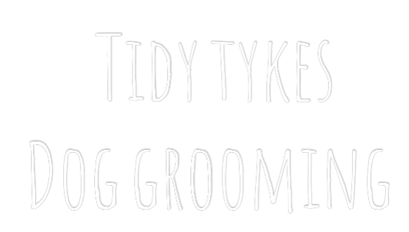 Custom Neon Text - Tidy tykes
D...