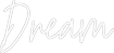 Custom Neon Text - Dream