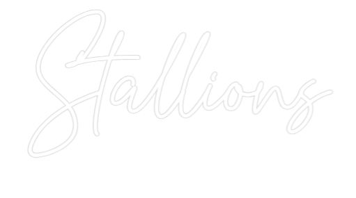 Custom Neon Text - Stallions